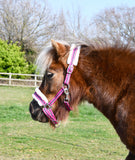 Bright Striped Fur Trimmed Headcollar