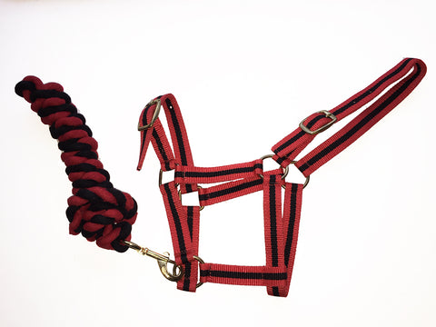 Harlequin Headcollar and Rope Set