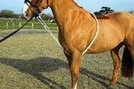 Soft Lunge Aid