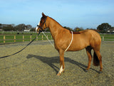 Soft Lunge Aid