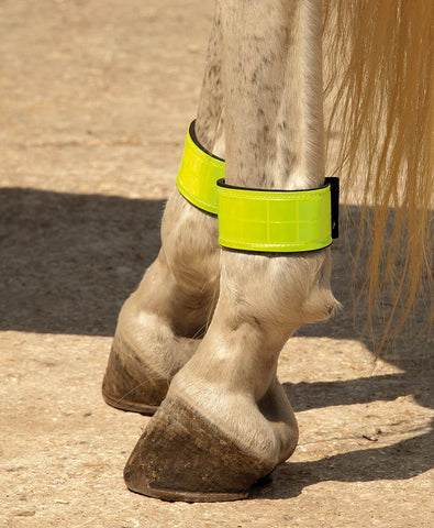 Neoprene Lined Reflective Leg Bands