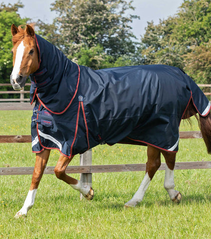 Buster 150g Turnout Rug with Classic Neck Cover