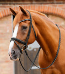 Bellissima Shaped Diamante Browband