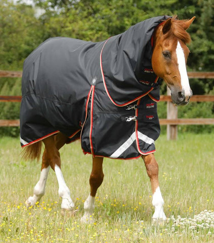 Buster 100g Turnout Rug with Snug-Fit Neck Cover