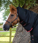 Buster Storm 400g Combo Turnout Rug with Snug-Fit Neck Cover