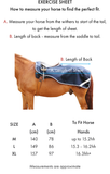 Horse Exercise Sheet