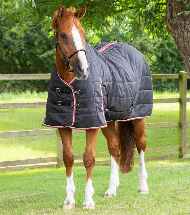 Garissa Stable Rug 100g Highgate Horseware