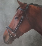 Classic Comfort Bridle