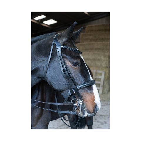 Cameo Freedom Double Bridle