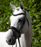 Rizzo Anatomic Snaffle Bridle with Flash