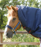 Titan 100g Turnout Rug with Snug Fit Neck Cover