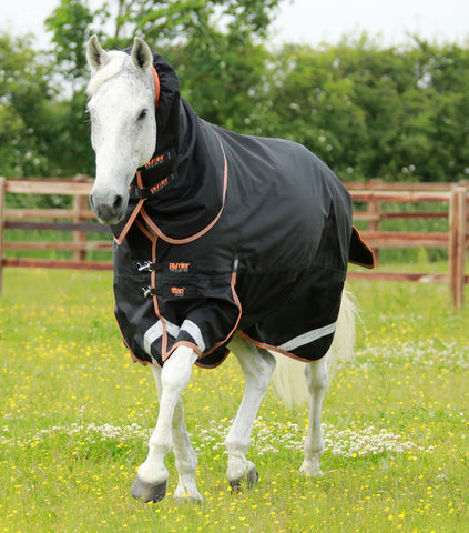 Titan 300g Turnout Rug with Snug Fit Neck Cover