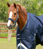 Titan 40g Turnout Rug with Snug Fit Neck Cover
