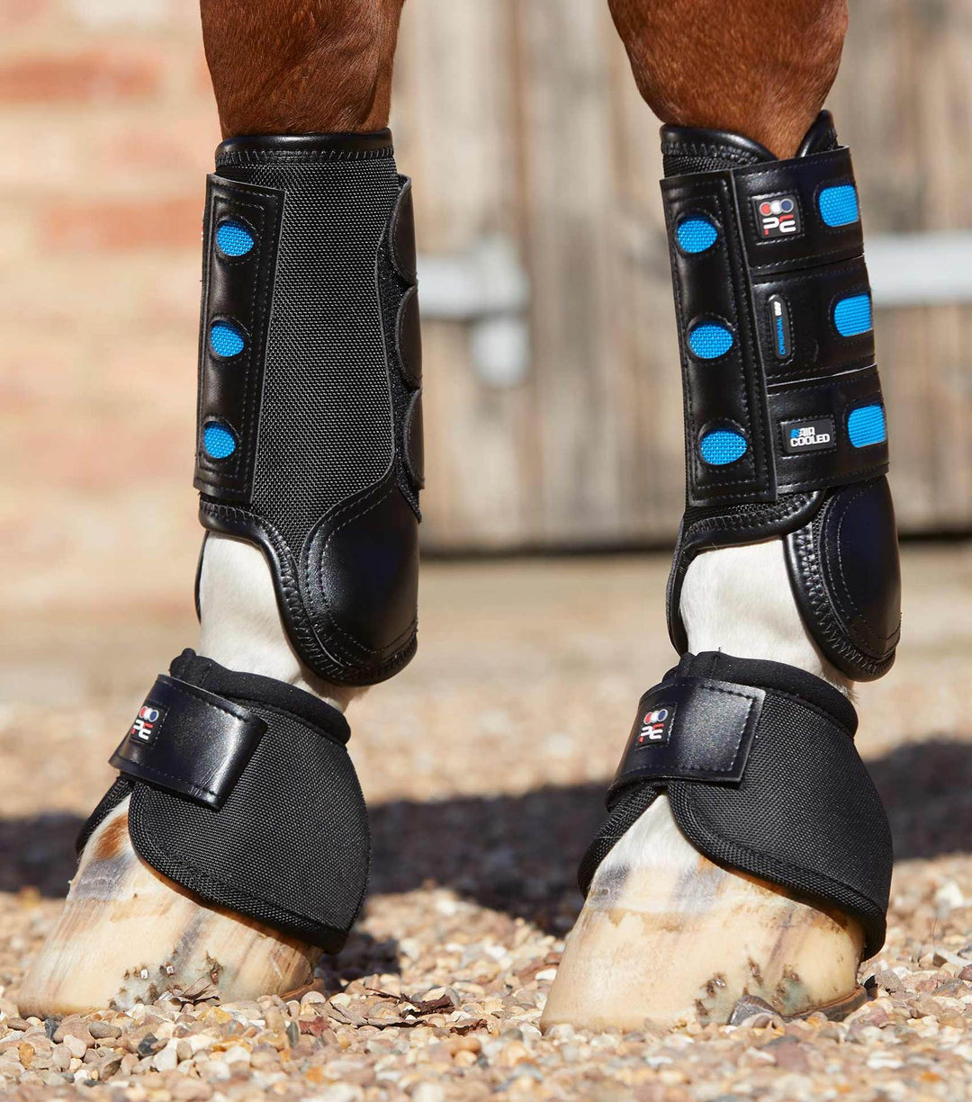 Premier equine hock boots on sale