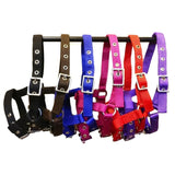 Mini Foal Headcollar
