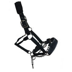 Control Comfort Headcollar with Chain