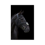 Anatomic Grackle Bridle with Reins