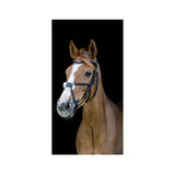Anatomic Grackle Bridle with Reins