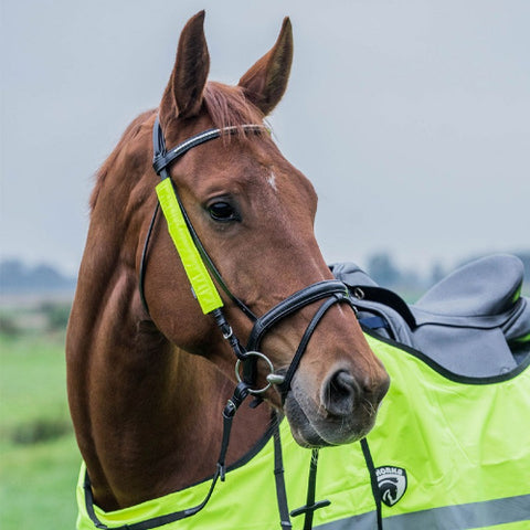 Reflective Bridle/Rein Covers
