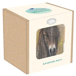 Chunky Mug - Exmoor Pony