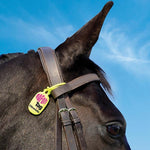 Citronella Tag Pack of 2