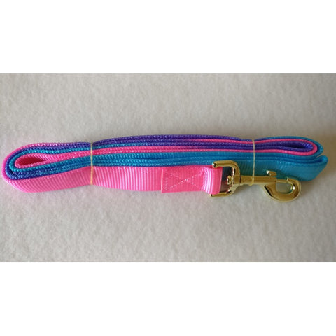 Aqua Web Lead (Unicorn)